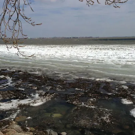 Schellinkhuis 別荘 *